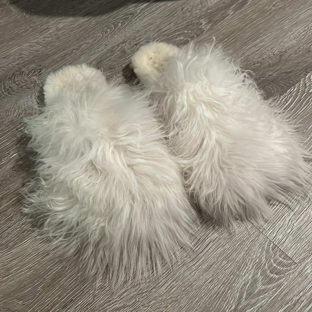 UGG slippers